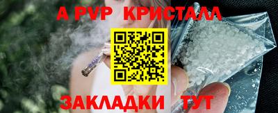 apvp Бердск
