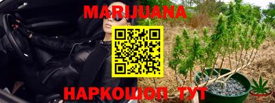 apvp Бердск