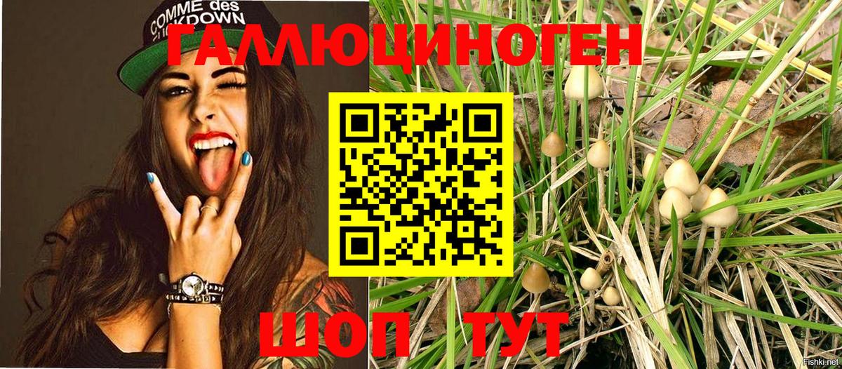 Выборг  Галлюциногенные грибы Psilocybe  Галлюциногенные грибы прущие грибы  Вход с VPN 